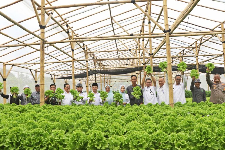 4e2865d8b8592ad74e2865d8b8592ad7e9dcc887-fe68-4339-aadf-9533404f96aa