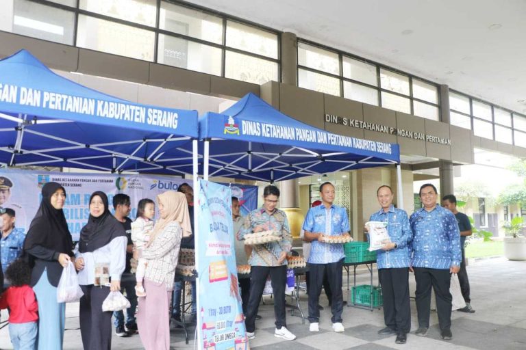 e3aa6ce78ea9c29de3aa6ce78ea9c29df36fa8b6-a4b9-4eea-86be-16f54c8548a1