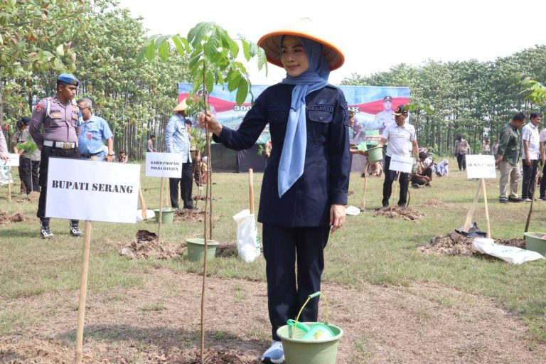 a3e387a0fcf859af1dbc70a42e2160efea32a642-6e0f-4401-8978-03c420c1c028