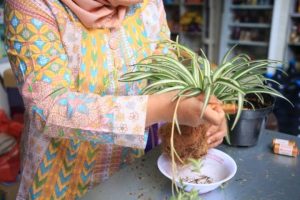 bank-foto-1prkCydJ1Nqn2MLTm18P1777521687